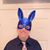 Carl Hautmann's profile image