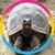 Michael J. Goodwin's profile image