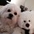 Mona Lynn Pray-Manser's profile image