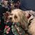 Mary Helen Macon Martin's profile image