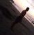Yair Tirado's profile image