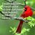 Karen McCray's profile image
