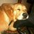 Sandra Petersen's profile image