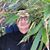Mark Gagne's profile image