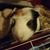 Lydia Doxon's profile image