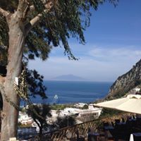 Susan Hartley Brisson's profile image