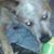 Brian Bradley's profile image