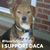 Susan A. Kemppainen's profile image