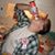 Whitney Thompson's profile image