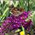 Mary Meissner Olson's profile image