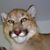 Jimmy Grogan's profile image