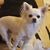 Marg Bouvier's profile image