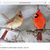 Karen Wilcox's profile image