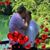 Jennifer Metzger's profile image