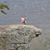 Lindsey Tharp's profile image