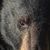 Jason Hoffard's profile image
