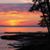 Tammi Norris Couture's profile image