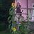 Angie Fawn's profile image