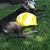 Jean Judd's profile image