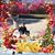 Lisa Bancroft Jones's profile image