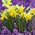 Gail Burke's profile image