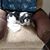 Judy Paugh's profile image