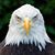 Bob Britton's profile image