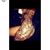 Elizabeth Martinez's profile image