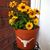 Tammy Noel Southard's profile image