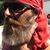 Raleigh Lowe's profile image