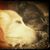Felicity Scattergood Miller-Jones's profile image