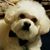 Jennifer Arnold's profile image