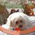 Don Atkinson's profile image