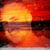 Dante Filippelli's profile image