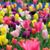 Brenda Eith Ring's profile image