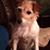Rona-Leigh Rempel's profile image