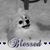 Gloria McKay's profile image