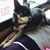 Tami Greer Walker's profile image