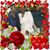 Melissa Richardson's profile image