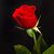 Erica Soliz's profile image