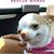 Cyndi Hodge's profile image