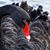 Gwen Nowrick's profile image