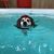 Danielle Secor's profile image