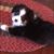 Julie Porter's profile image