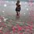 Victoria Avaria's profile image