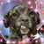 Gigi Peterson's profile image