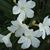 Larilyn Andre's profile image