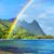 Karen Cappelli's profile image