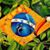 Jorge Luiz Perna's profile image