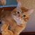 Jon Floth's profile image